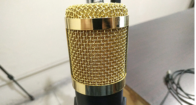 A picture of the BM 800 Microphone
